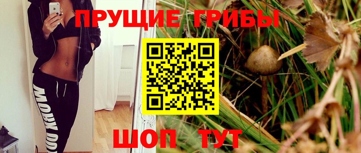 Лянтор  Псилоцибиновые грибы мухоморы  Вход с VPN 