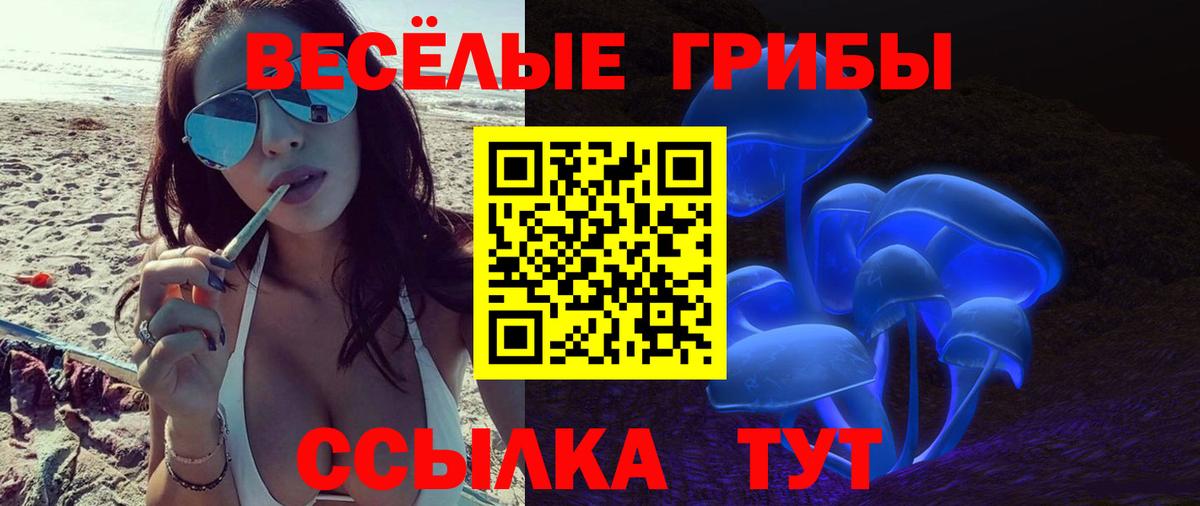 Псилоцибиновые грибы Cubensis Лянтор